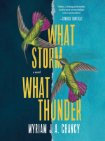 What_Storm__What_Thunder